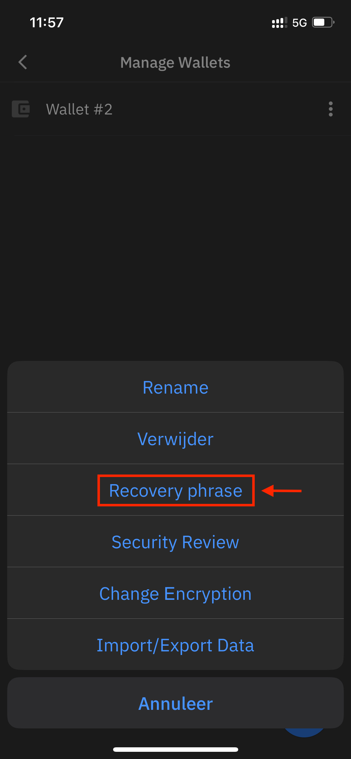 Hoe je jouw ETH uit je Coinomi-portemonnee kunt herstellen? – BTC Direct -  Nederlands